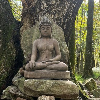 BuddhaDharmakaya